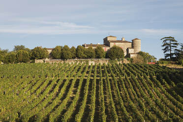 France, Nouvelle-Aquitaine, Department Gironde, Bordeaux wine region, vineyards and Chateau Lacaussade - GWF06342