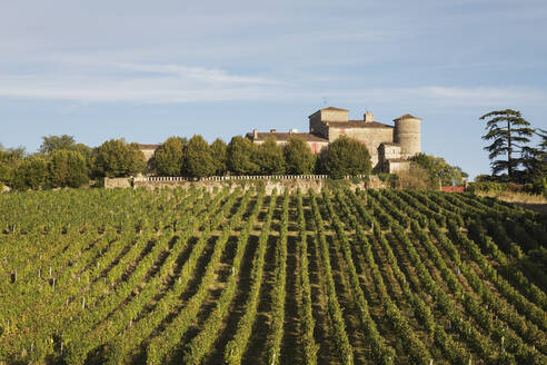 Frankreich, Nouvelle-Aquitaine, Departement Gironde, Weinregion Bordeaux, Weinberge und Chateau Lacaussade - GWF06342