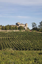 Frankreich, Nouvelle-Aquitaine, Departement Gironde, Weinregion Bordeaux, Weinberge und Chateau Lacaussade - GWF06343