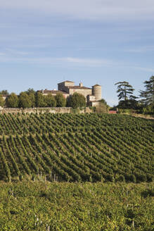 Frankreich, Nouvelle-Aquitaine, Departement Gironde, Weinregion Bordeaux, Weinberge und Chateau Lacaussade - GWF06343