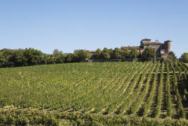 France, Nouvelle-Aquitaine, Department Gironde, Bordeaux wine region, vineyards and Chateau Lacaussade - GWF06346