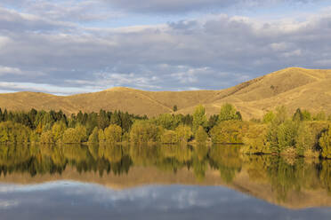 Neuseeland, Franklin District, Glenbrook, Bewaldete Hügel spiegeln sich im Wairepo Arm See im Herbst - FOF11601