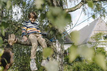 Boy climbing tree, sitting on branch, father watching - KNSF07323