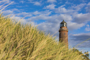 Deutschland, Mecklenburg-Vorpommern, Hohes Gras vor Leuchtturm Darsser Ort - WDF05666