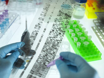 Hands of scientist wearing surgical gloves analyzing DNA sequencing result chart - ABRF00665