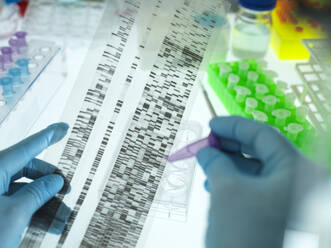 Hands of scientist wearing surgical gloves analyzing DNA sequencing result chart - ABRF00667