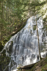 Rückansicht eines Wanderers mit Blick auf einen Wasserfall im Mt. Hood National Forest - CAVF73569