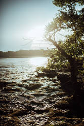 Scenic view of river against clear sky - CAVF73572