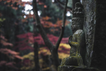 Nahaufnahme der Buddha-Statue im Kozan-ji-Tempel - CAVF73663