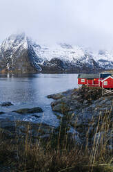 Rote Hütten an der Küste, Hamnoy, Lofoten, Norwegen - DGOF00091