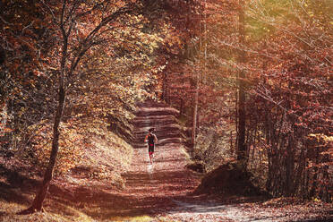 Woman jogging in autumn forest - DHEF00079