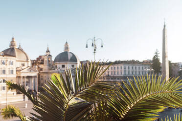 Italien, Rom, Palmenzweige vor den Gebäuden der Piazza del Popolo - MMAF01246