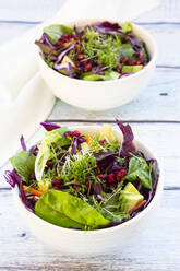 Zwei Schüsseln Salat mit Rotkohl, Karotten, Salatblättern, Avocado, Granatapfelkernen und Kresse - LVF08581
