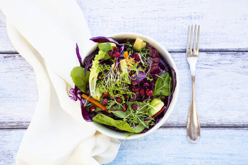 Zwei Schüsseln Salat mit Rotkohl, Karotten, Salatblättern, Avocado, Granatapfelkernen und Kresse - LVF08582