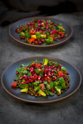 Orientalischer Linsensalat mit Linsen, Gurken, Paprika, Petersilie und Granatapfelkernen - LVF08584