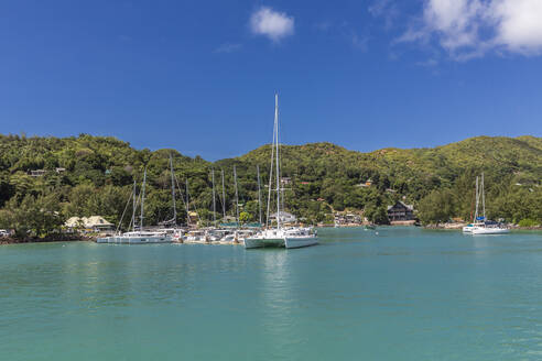 Seychelles, Praslin Island, Sailboats moored in marina - MABF00546