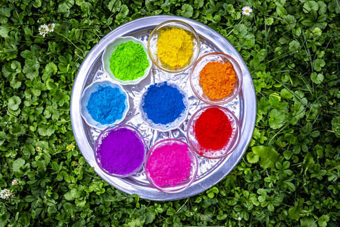 Powder paints in bowls on tray for celebrating Festival of Colours - SARF04455