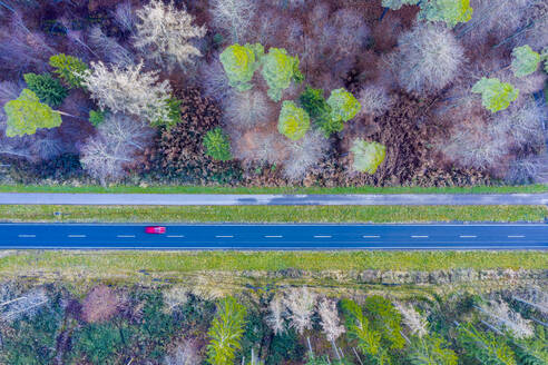 Deutschland, Baden-Württemberg, Luftaufnahme einer Autobahn durch den Schwäbischen Wald im Herbst - STSF02445