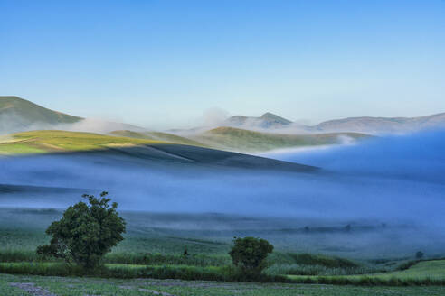 Italien, Umbrien, Sibillini-Gebirge, Piano Grande di Castelluccio di Norcia-Hochebene bei Sonnenaufgang - LOMF00988