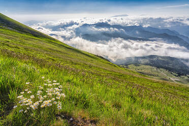 Italy, Umbria, Sibillini mountain range, Mount Vettore in Summer - LOMF00989