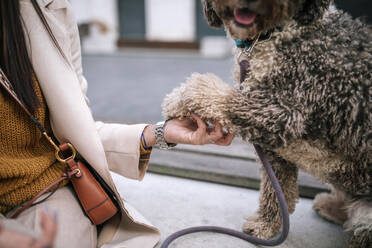 Young woman with her dog in the city giving paw - GRCF00139