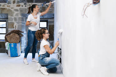 Mother and daughter painting a wall of her new house together - DGOF00210