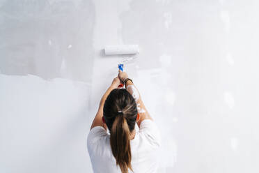 Rear view of woman painting a wall - DGOF00214