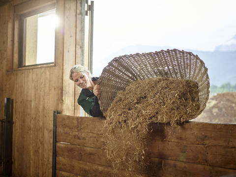 Bäuerin schüttet Stroh in die Scheune auf einem Bauernhof, lizenzfreies Stockfoto