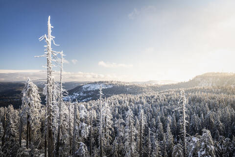 Winter landscape at Hornisgrinde, Black Forest, Germany stock photo