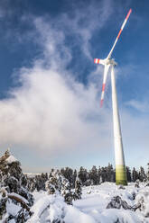 Winterlandschaft mit Windkraftanlage auf der Hornisgrinde, Schwarzwald, Deutschland - MSUF00159