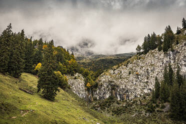 Wanderweg vor wolkenverhangenen Bergen, Kitzbühel, Kaisergebirge, Tirol, Österreich - MSUF00177