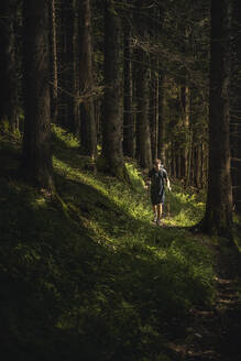 Mann mit Wanderstöcken bei einer Wanderung im Wald, Karwendel, Tirol, Österreich - MSUF00191