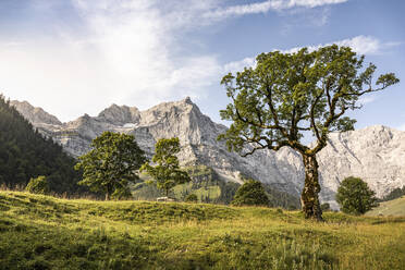 Großer Ahornboden, Hinterriss, Karwendel, Tirol, Österreich - MSUF00199