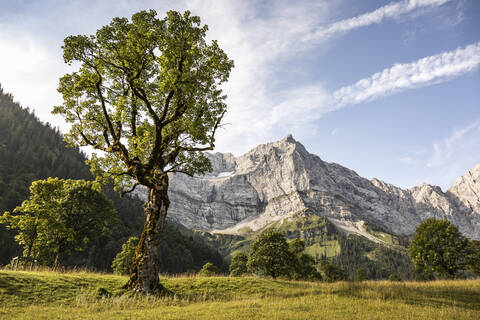 Großer Ahornboden, Hinterriss, Karwendel, Tirol, Österreich, lizenzfreies Stockfoto