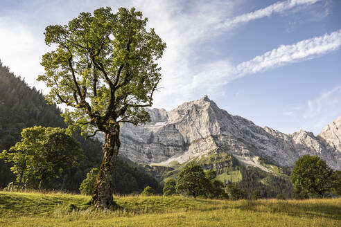 Großer Ahornboden, Hinterriss, Karwendel, Tirol, Österreich - MSUF00200