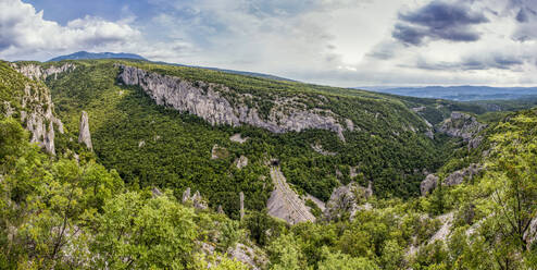 Kalksäulen in der Vela Draga-Schlucht, Naturpark Ucka, Istrien, Kroatien - MAMF01072