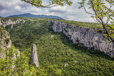 Lime columns in Vela Draga Canyon, Ucka Nature Park, Istria, Croatia - MAMF01076