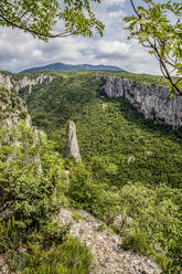 Lime columns in Vela Draga Canyon, Ucka Nature Park, Istria, Croatia - MAMF01077