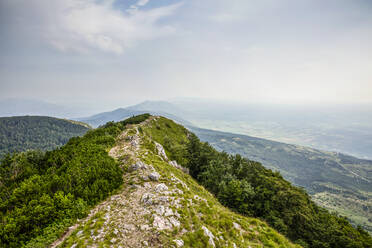 View from Vojak mountain on Ucka Nature Park, Istria, Croatia - MAMF01079