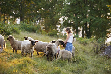 Girl feeding sheep - JOHF06141