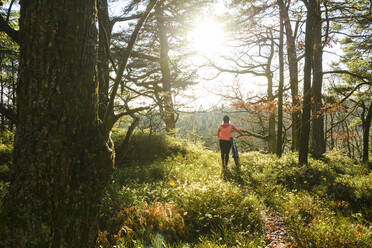 Cyclist in forest - JOHF06156