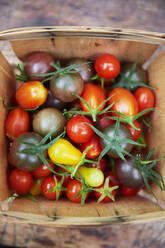 Colorful tomatoes in basket - JOHF06176