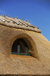 Window in thatched roof - JOHF06289