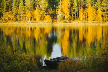 Rowing boat at lake - JOHF06351