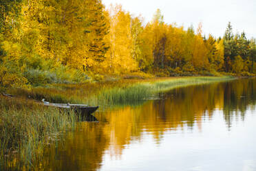 Herbstwald mit Spiegelung im See - JOHF06352