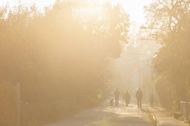 Street at autumn - JOHF06389