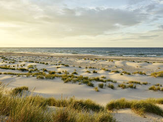 Sand dunes at sea - JOHF06406