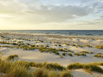 Sanddünen am Meer - JOHF06406