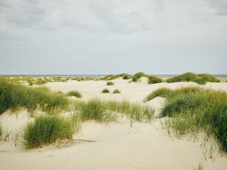 Sand dunes - JOHF06412