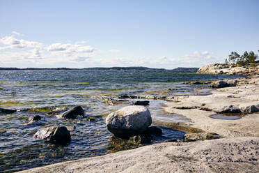 View of rocky coast - JOHF06423